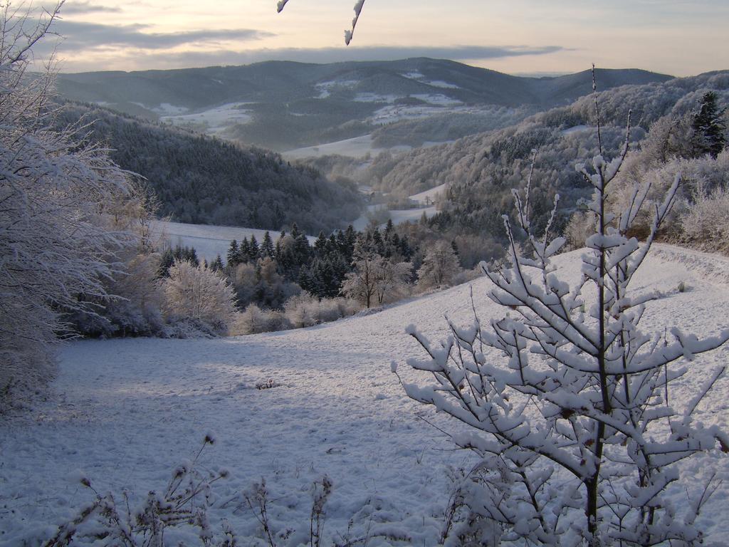 Agroturystyka Millerówka Kamionka Mala  Exterior foto